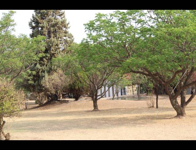 FARM FOR SALE IN GLENFERNESS